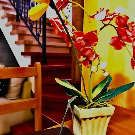 Phidias Homes No 3 Apartment