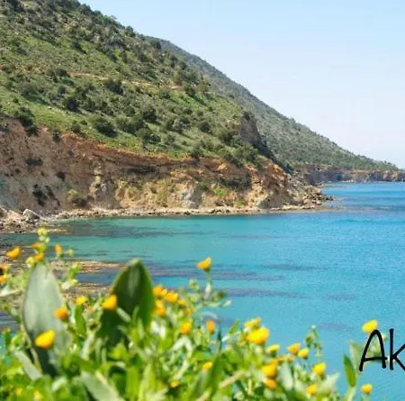 Phidias Homes No 3 * Peyia